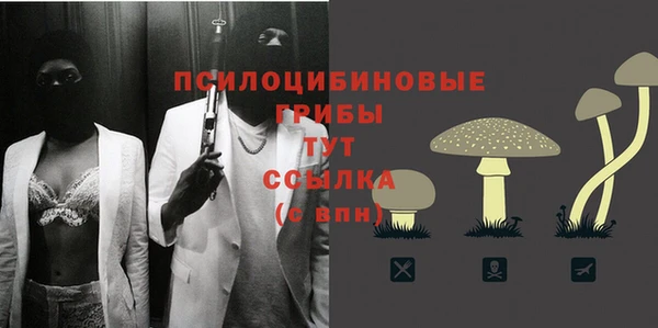 ПСИЛОЦИБИНОВЫЕ ГРИБЫ Алексин