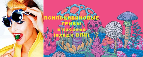 ГАЛЛЮЦИНОГЕННЫЕ ГРИБЫ Абинск