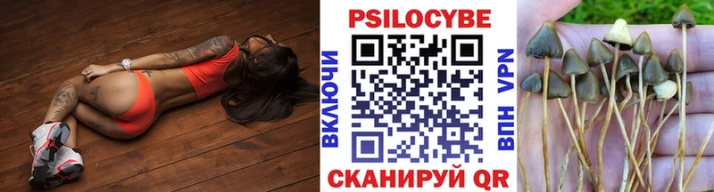 Галлюциногенные грибы Psilocybine cubensis  Азов 